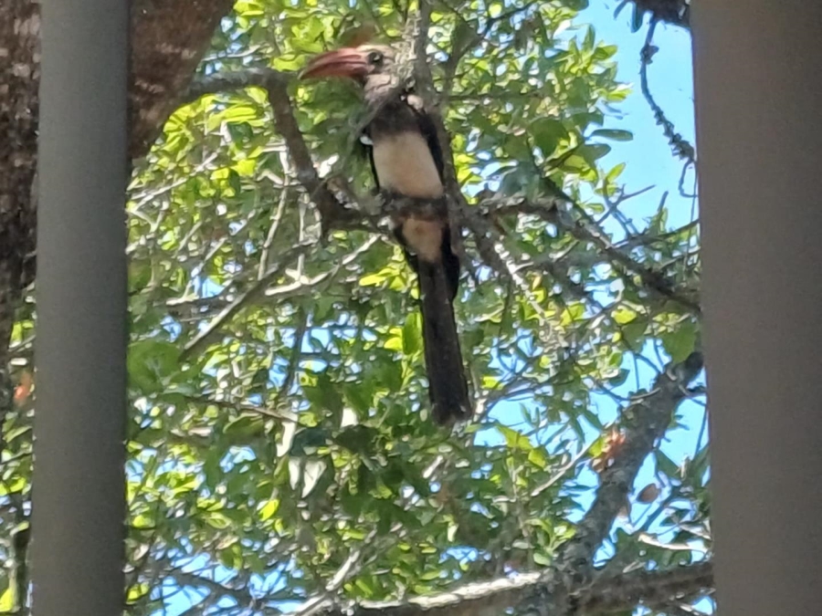 4 Bedroom Property for Sale in Gamtoos Mouth Eastern Cape